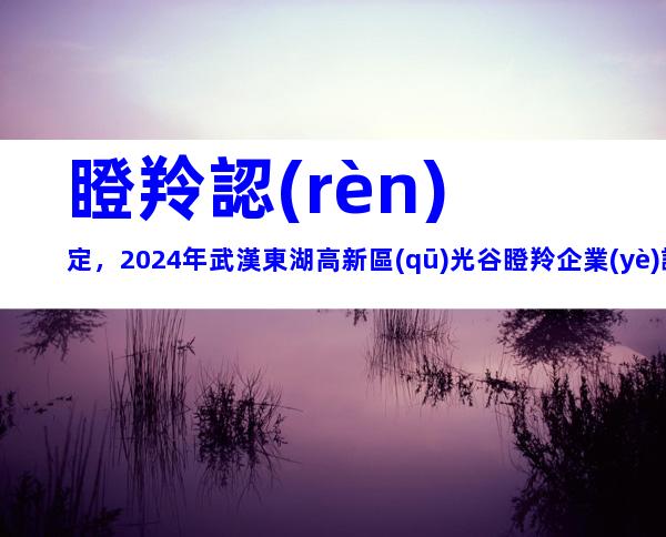 瞪羚認(rèn)定，2024年武漢東湖高新區(qū)光谷瞪羚企業(yè)認(rèn)定條件、程序梳理